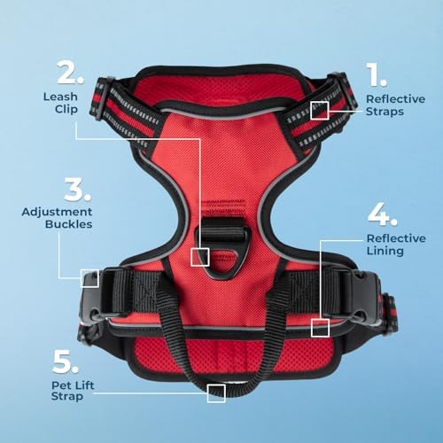 Voyager Dual Attachment No Pull Harness - Image 2
