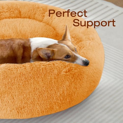 JOLLYVOGUE Dog Beds Large Sized Dog, 36 inches Calming Soft Anti-Anxiety Donut - Image 2