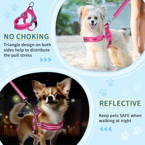 SlowTon No Pull Small Dog Harness and Leash Set - Image 3