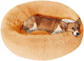 JOLLYVOGUE Dog Beds Large Sized Dog, 36 inches Calming Soft Anti-Anxiety Donut by JOLLYVOGUE