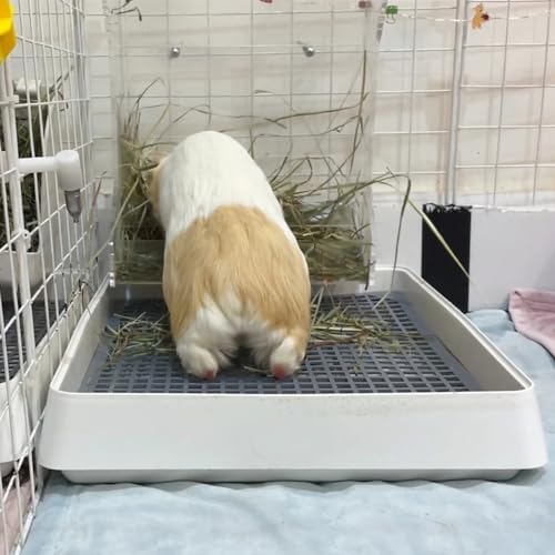 PODOO Rabbit Litter Box – Training Potty Tray - Image 3