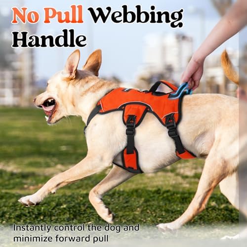 rabbitgoo Escape Proof Dog Harness - Image 4