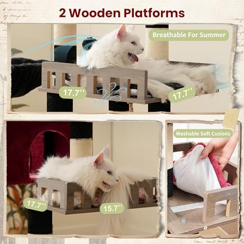 Gitelsnour Maine Coon Cat Tree, Heavy Duty Cat Tower - Image 2
