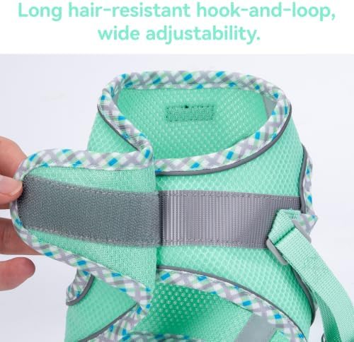 Petank Step in Dog Harness No Pull and Leash - Image 5