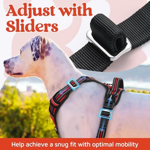 rabbitgoo Dog Harness Small Sized, No Pull 3 Buckles Easy On & Off - Image 5