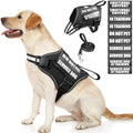Service Dog Vest Harness and Leash Set+10 Patches, No Pull&Easy Walk Reflective by MOOGROUPETSFRIEND