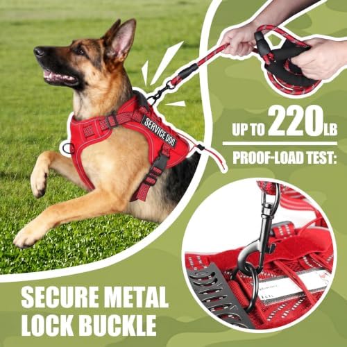 Dog Harness and Leash Set for Medium Dogs, No Pull Tactical Dog Harness - Image 4