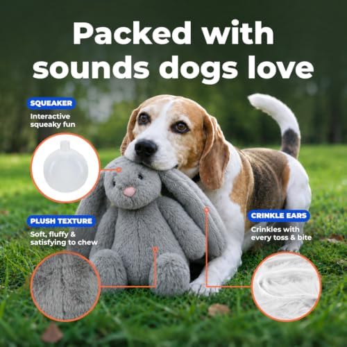 Best Pet Supplies Bunny Buddy Squeaky Plush Dog Toy - Image 3