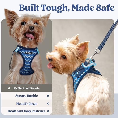 rabbitgoo Dog Harness Medium Sized and Leash Set, Step-in Puppy Pet Vest - Image 5