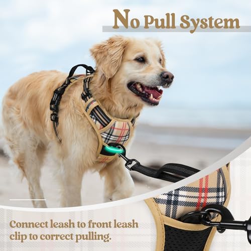 rabbitgoo Dog Harness, No Pull for Small Dogs - Image 5