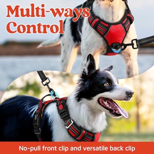 rabbitgoo Dog Harness for Large, No Pull 3 Buckles Easy On & Off - Image 3