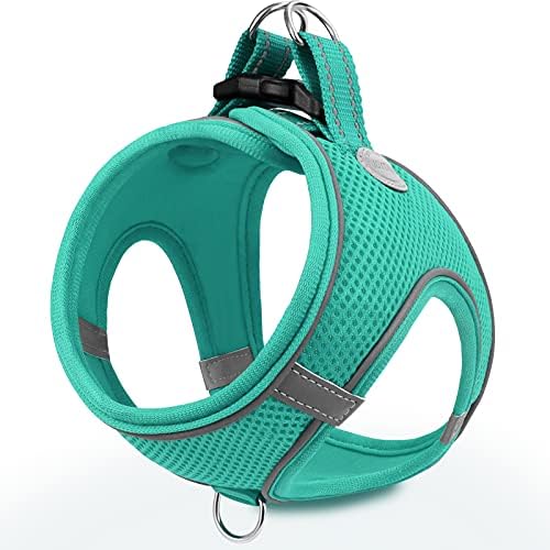 Joytale Step-in Dog Harness, Soft Breathable Mesh, Teal XXS by Joytale