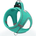 Joytale Step-in Dog Harness, Soft Breathable Mesh, Teal XXXS by Joytale