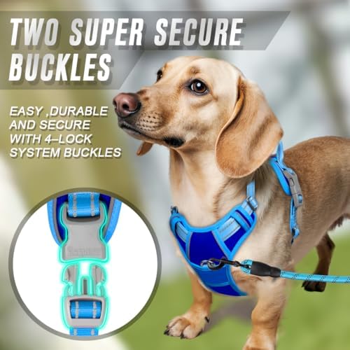 BARKBAY Dog Harness No Pull for Small Sized Dog Front Back Clips, Dog Vest - Image 4