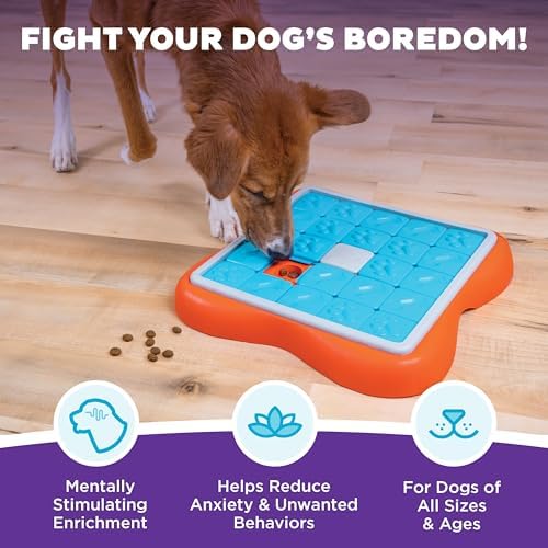 Outward Hound Nina Ottosson Challenge Slider Dog Toy Treat Puzzle - Image 2