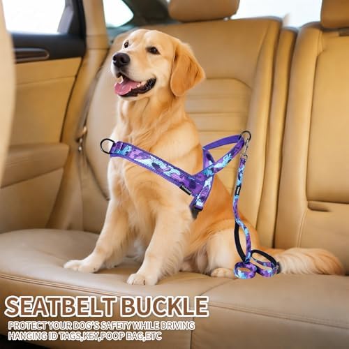 No Pull Dog Harness and Leash Set - Image 5
