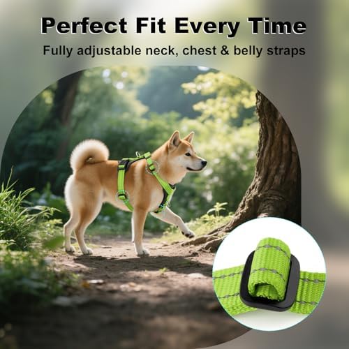 Plutus Pet No Pull Dog Harness - Image 5