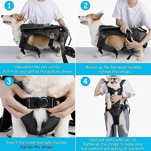 PetBonus Dog Front Carrier Backpacks, Legs Out Easy-fit Puppy Chest Carrier - Image 4