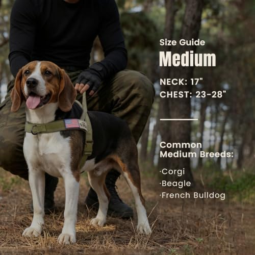 Forestpaw No Pull Dog Harness - Image 4