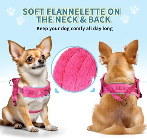 SlowTon No Pull Small Dog Harness and Leash Set - Image 2