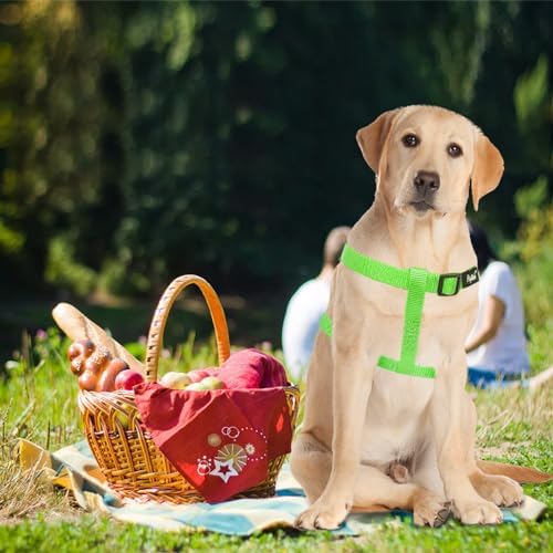 PUPTECK No Pull Dog Harness Large Sized Step-in Adjustable Puppy Vest - Image 5