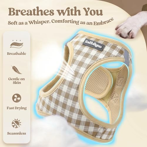 rabbitgoo Dog Harness Small Sized and Leash Set, Step-in Puppy Pet Vest - Image 4