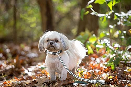 Pets First NFL Pet Leash - Image 4