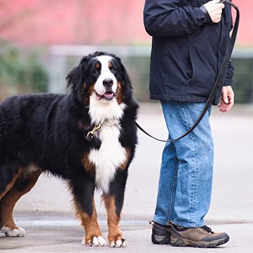 Leather Dog Leash 6ft x 5/8 inch, Strong Heavy Duty Genuine Leather Braided Dog - Image 5