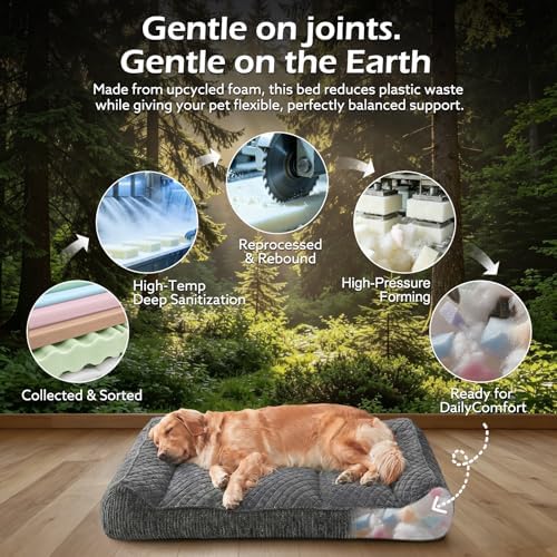 JOEJOY XL Orthopedic Dog Beds Large Sized Dog, Extra Thick Supportive Big Dogs - Image 6