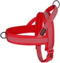 Didog No Pull Dog Harness for Medium Dogs, Breathable Mesh Padded by Didog