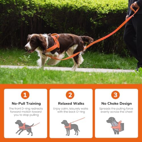 Didog No Pull Dog Harness for Large Dogs, Soft Flannel Padded - Image 4