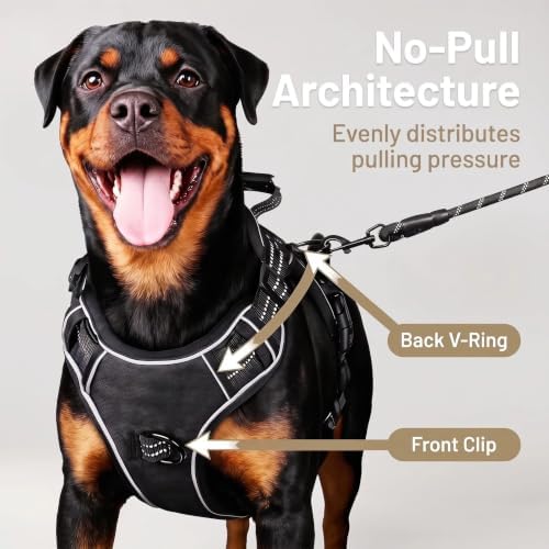 Dog Harness and Leash Set for Medium Dogs, No Pull Tactical Dog Harness - Image 3