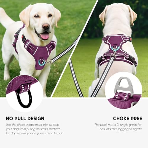 Timos Dog Harness Large Sized, Quick Release Buckles - Image 5
