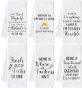 Funny Kitchen Hand Towels, 6 Pack Dish Cloths by GROBRO7