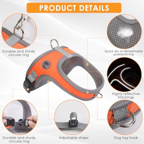 Dog Harness and Leash Set, No Pull Saddle Style Pet Harness, Breathable Mesh - Image 2