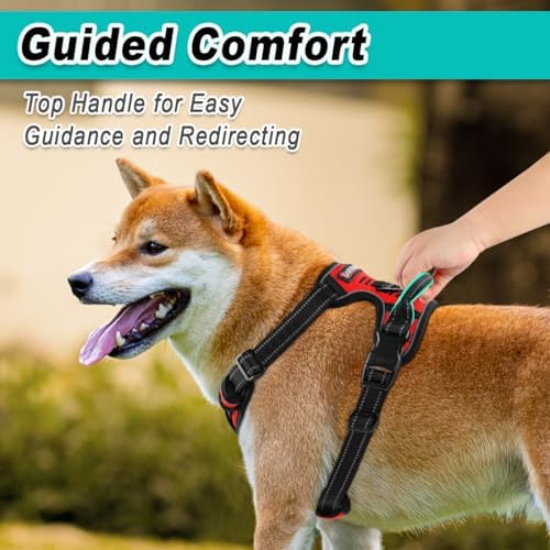 BARKBAY Dog Harness for Small Sized Dog No Pull 2 Leash Clips Dog Vest - Image 4