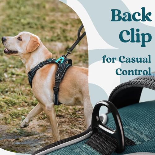 rabbitgoo Dog Harness for Large, Updated Easy On & Off - Image 5
