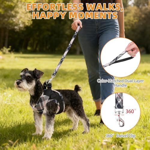 KOOLTAIL Small Dog Harness and Leash Set, Cute Puppy Harness, Step in No Pull - Image 6