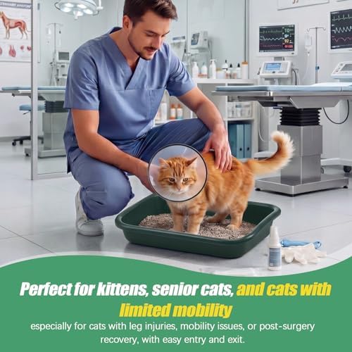Uiifan 3Pcs Large Low Entry Cat Litter Box, Dark Green - Image 6