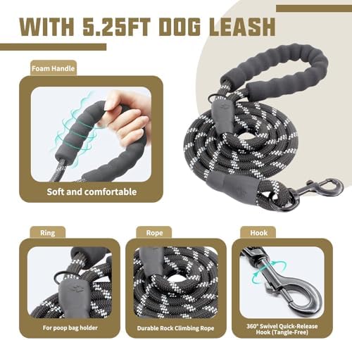 AUROTH Dog Harness and Leash Set - Image 4