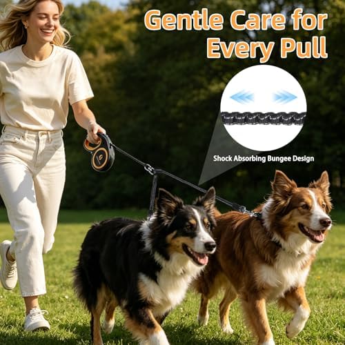 KOOLTAIL Dual Retractable Dog Leash - Image 3