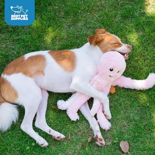 Best Pet Supplies Interactive Squeaky Dog Chew Toy, Ideal Dog Toys - Image 5