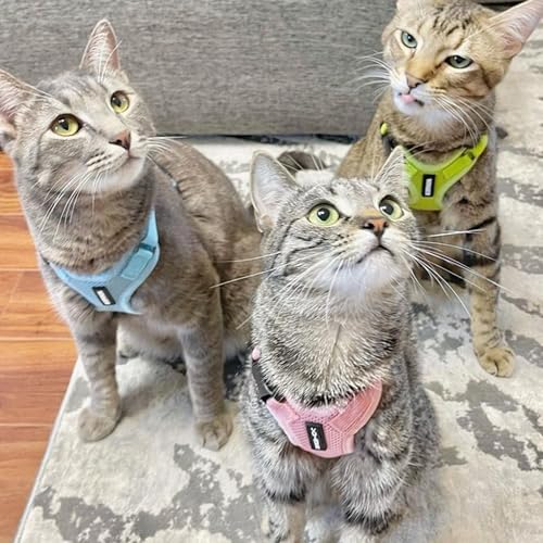 Voyager Step-in Lock Cat Harness & Leash Set - Image 6