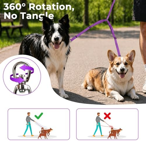 Double Leash for Two Dogs, No Tangle Bungee Dog Leash - Image 3