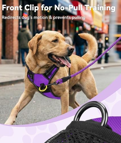 Joytale No Pull Dog Harness for Small Dogs, Front Clip - Image 2
