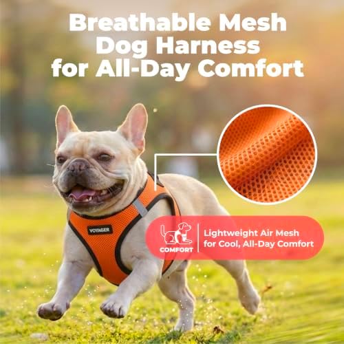 Best Pet Supplies Voyager Step-in Air Harness - Image 5