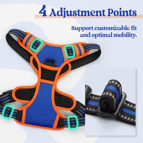 rabbitgoo Dog Harness, No Pull for Small Dogs - Image 4