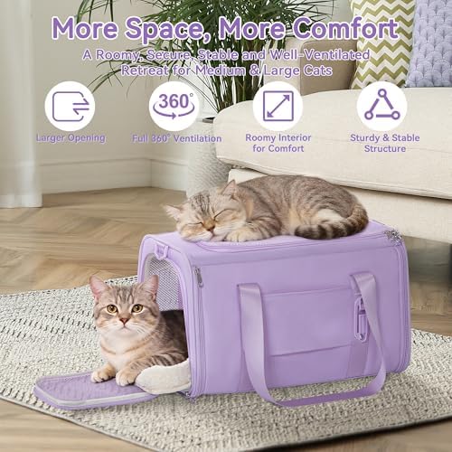 PETSFIT Large Cat Carrier with Patented Safety Buckles, Big Cats Up to 20 lb - Image 5
