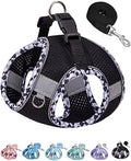Petank Dog Harness for Small Medium Dogs No Pull, Puppy Harness and Leash Set by PetankCareforEveryPaw