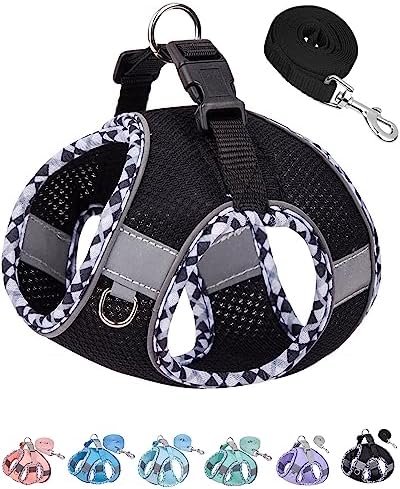 Petank Step in Dog Harness No Pull and Leash by PetankCareforEveryPaw